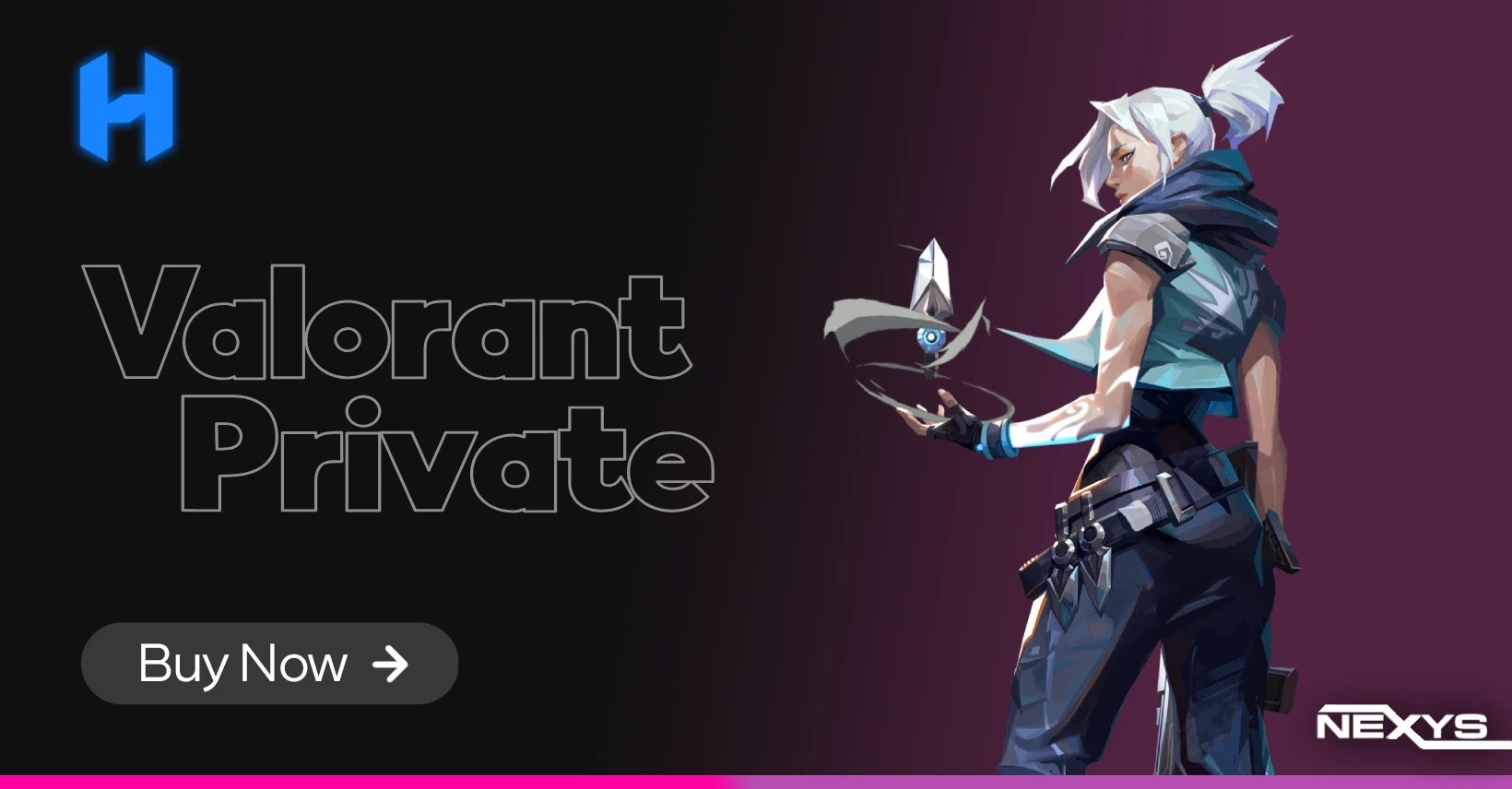 Valorant Private