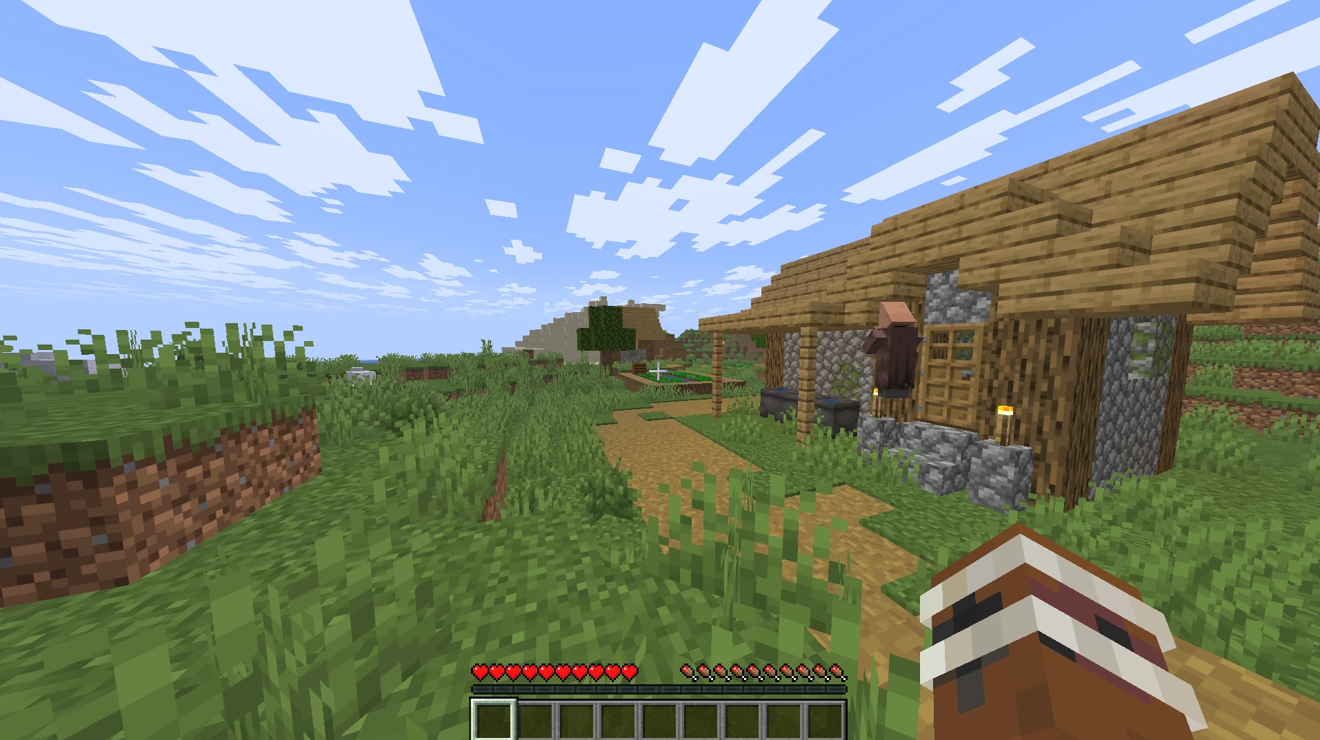 Minecraft