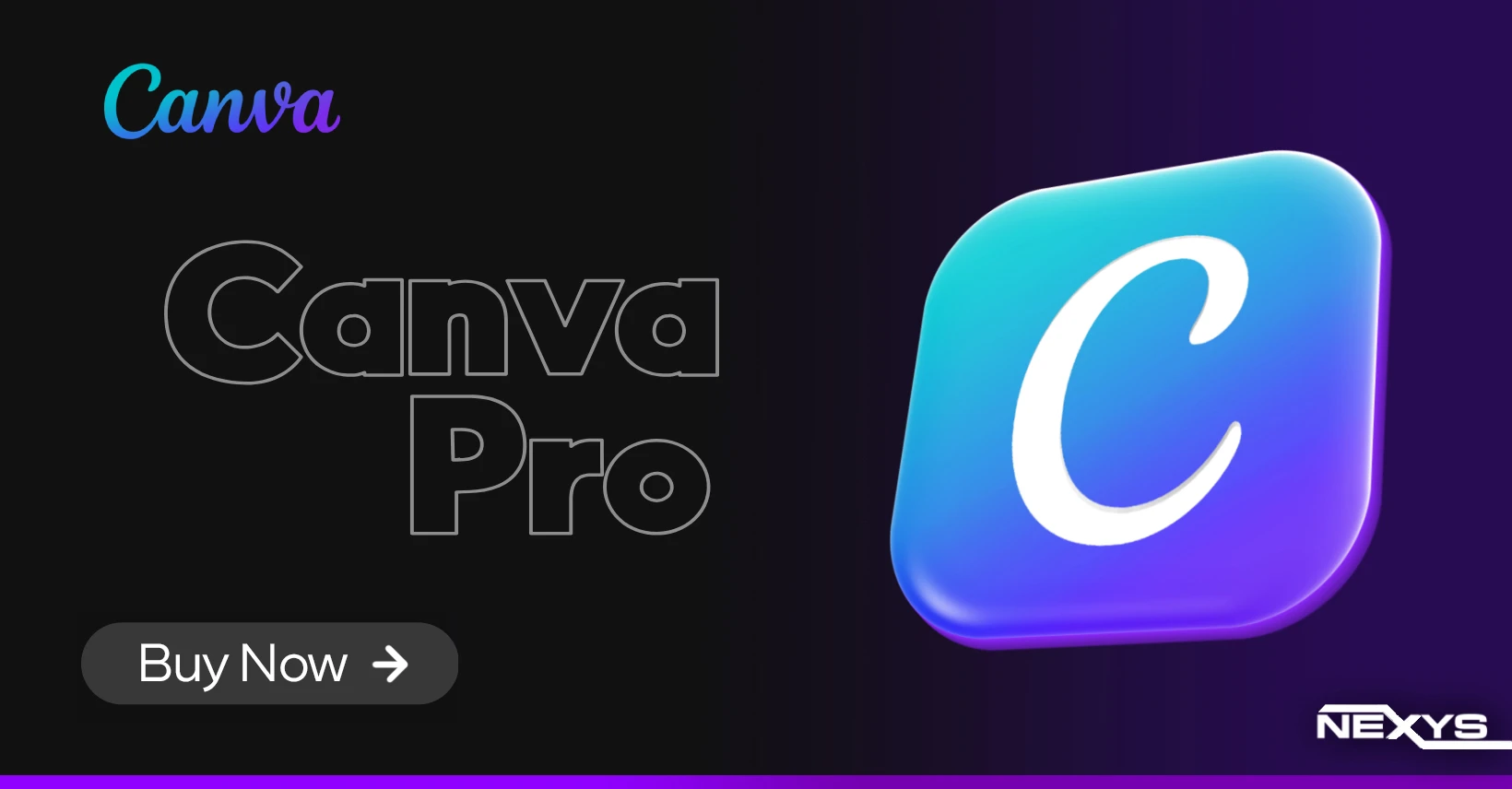 Canva Pro
