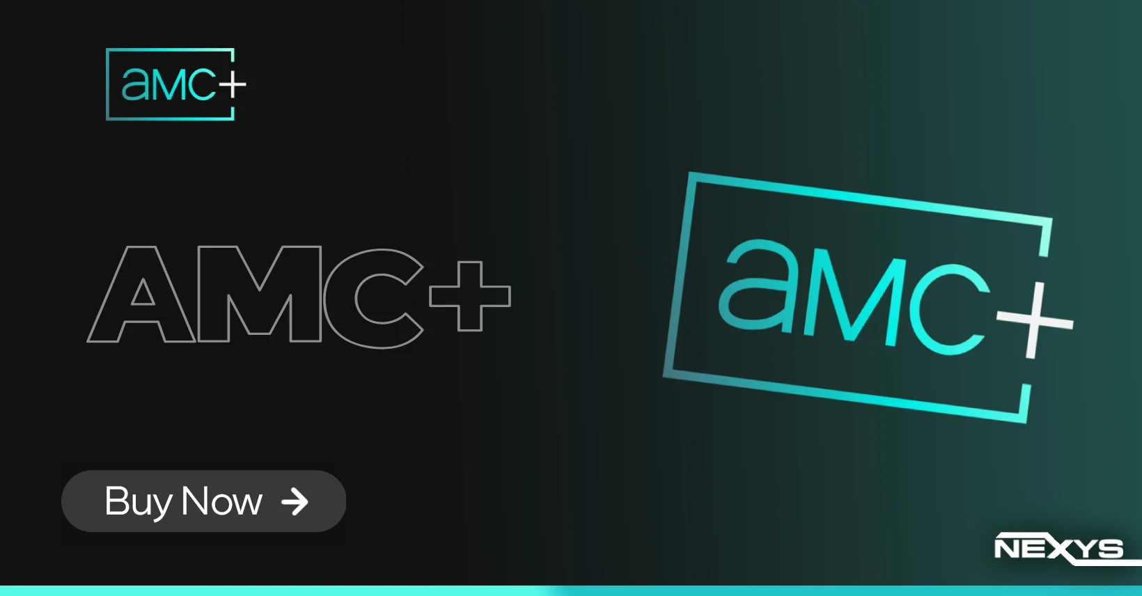 AMC+ Lifetime